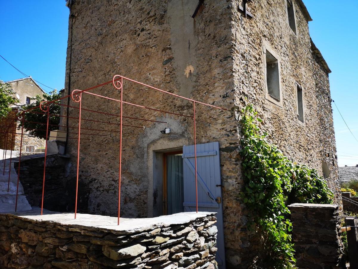 Maison De Village A 2 Km De La Mer Sisco Cap Corse 15 Kms Bastia Exterior foto