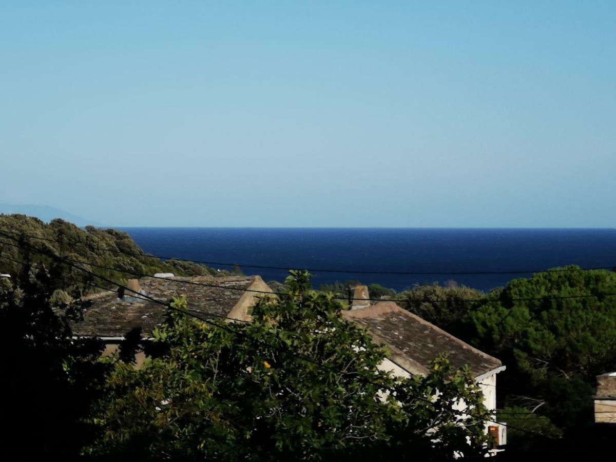 Maison De Village A 2 Km De La Mer Sisco Cap Corse 15 Kms Bastia Exterior foto
