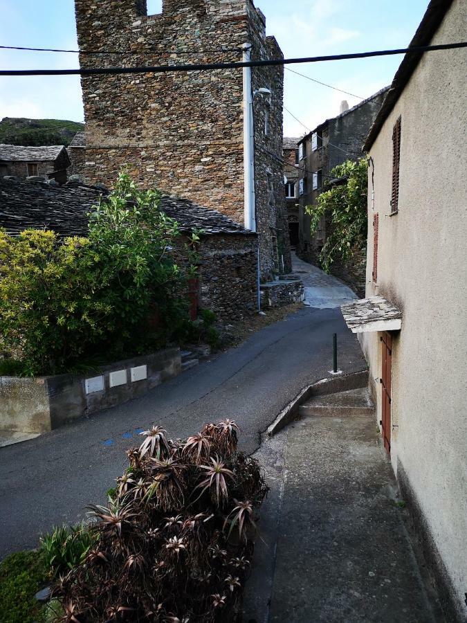 Maison De Village A 2 Km De La Mer Sisco Cap Corse 15 Kms Bastia Exterior foto