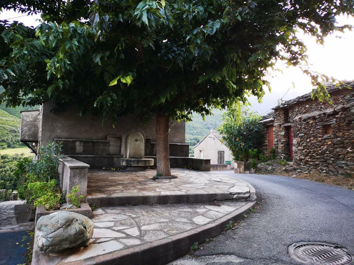 Maison De Village A 2 Km De La Mer Sisco Cap Corse 15 Kms Bastia Exterior foto
